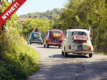 Bildet viser en lang rekke med Fiat 500 på veiene i Toscana