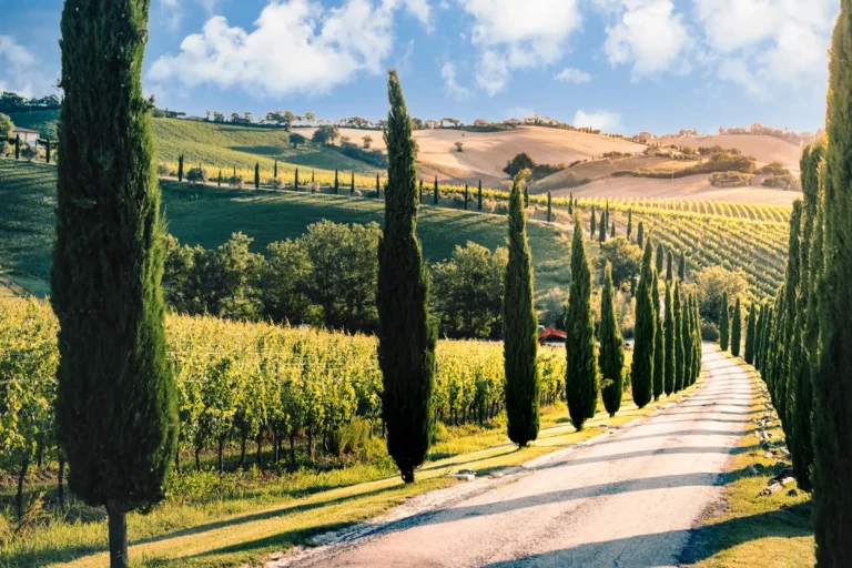 Fantastisk flott landskap i regionen Marche, Italia