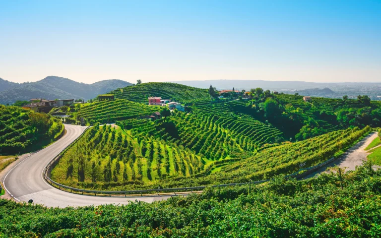 Proseccoveien, Veneto, Italia