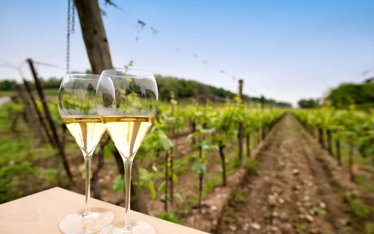 Prosecco - vinranker, Italia