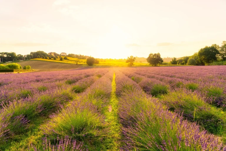 Corinaldo i Marche, Italia