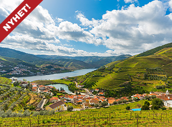 Fottur i Duoro-dalen i Portugal - vin, kultur og UNESCO-arv